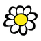 Blume mit weißen Blättern und gelben Blütenstaub