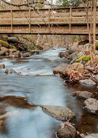 river view with a bridge