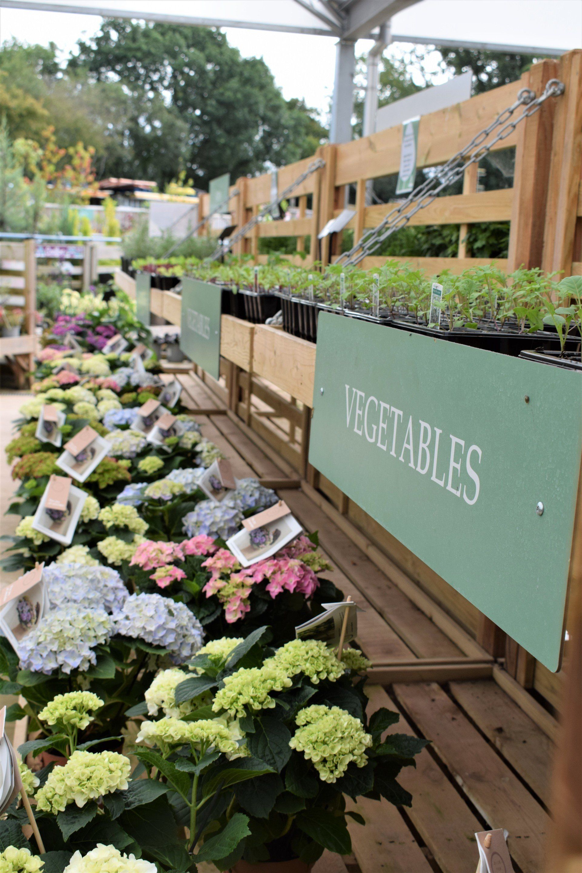 Combe Garden Centre 2