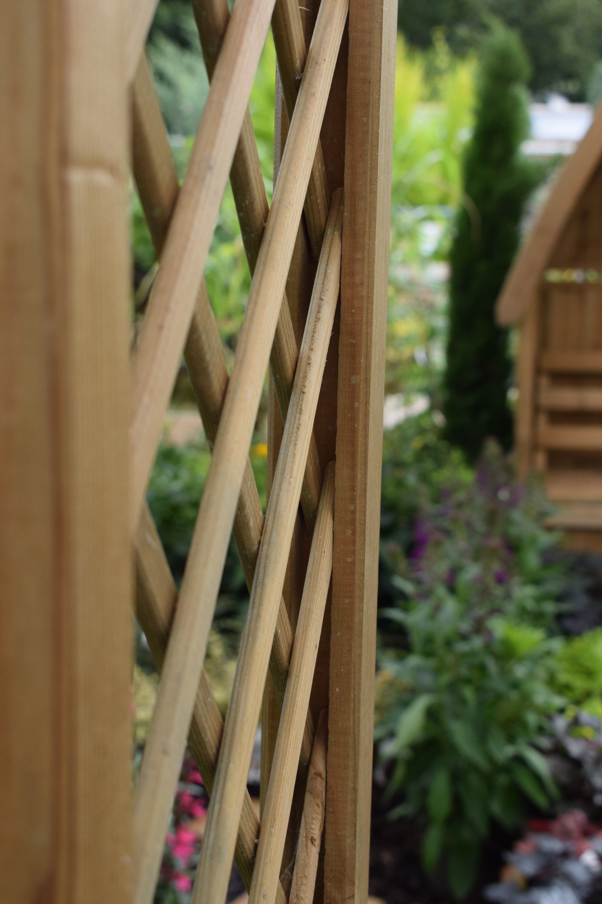 Combe Garden Centre 15