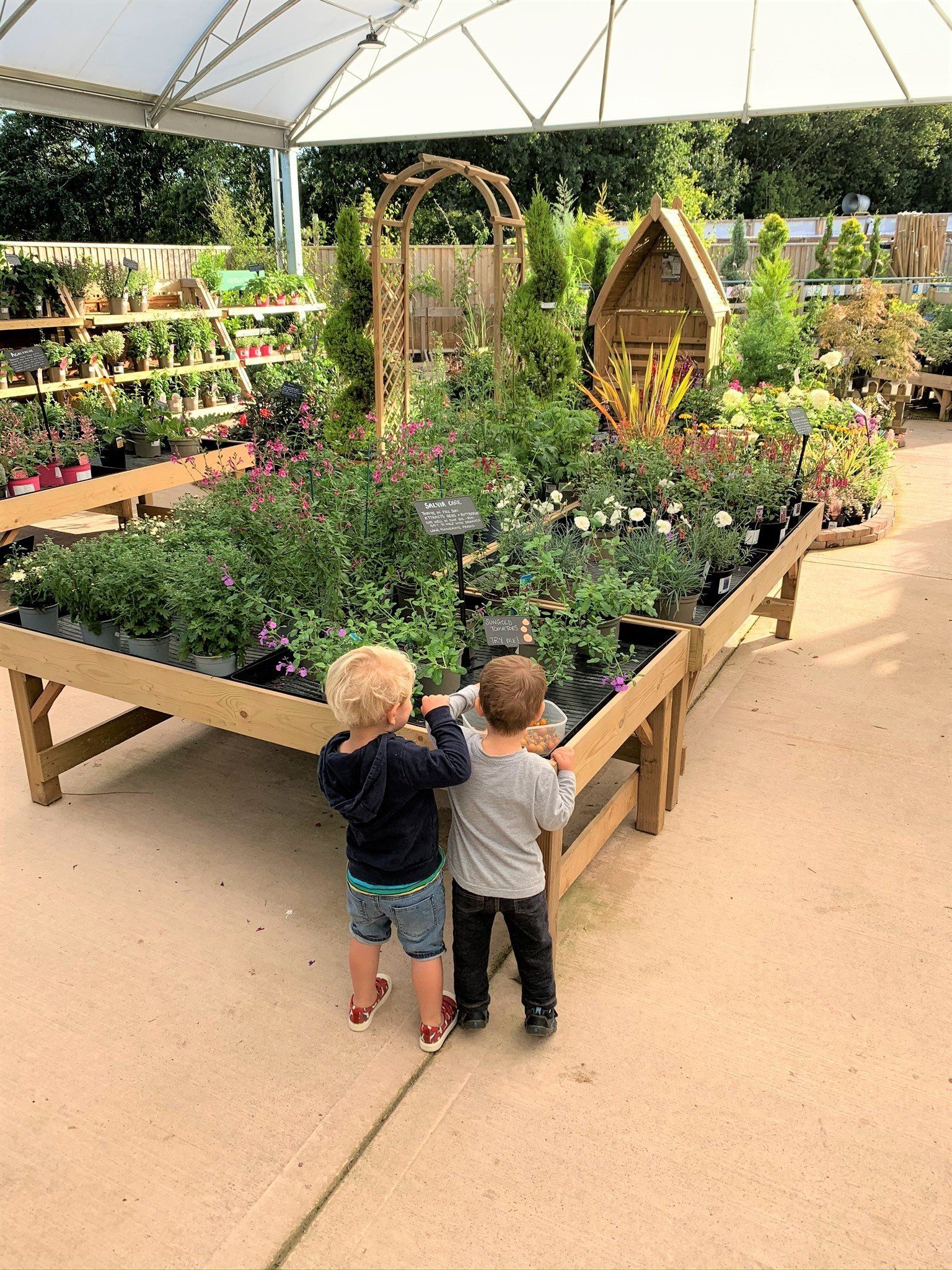 Combe Garden Centre 3