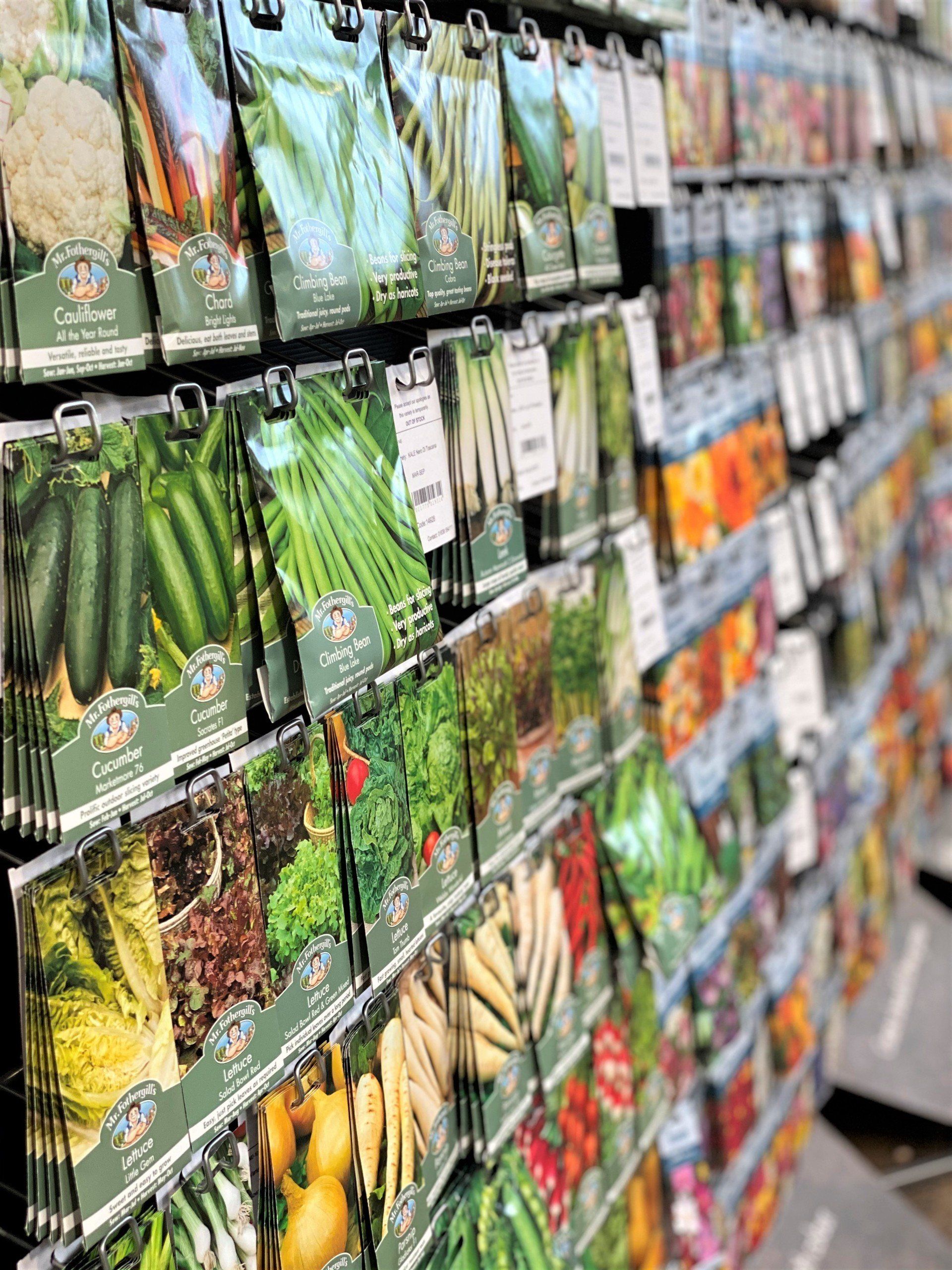 Combe Garden Centre 4
