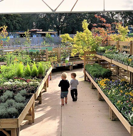 garden shop