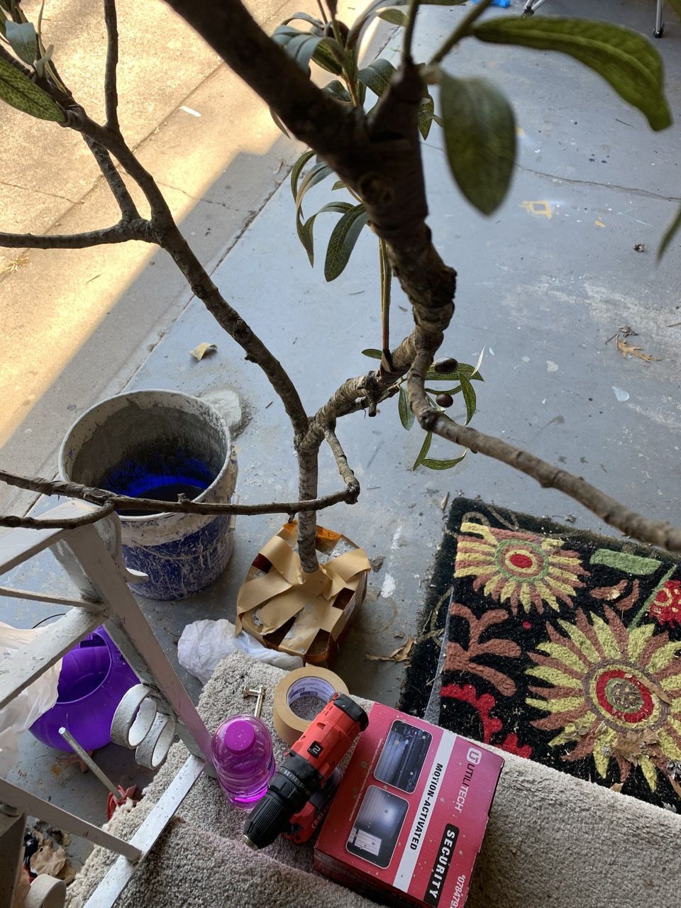 concrete base for faux olive tree