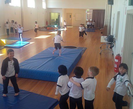 Group of girl gymnasts