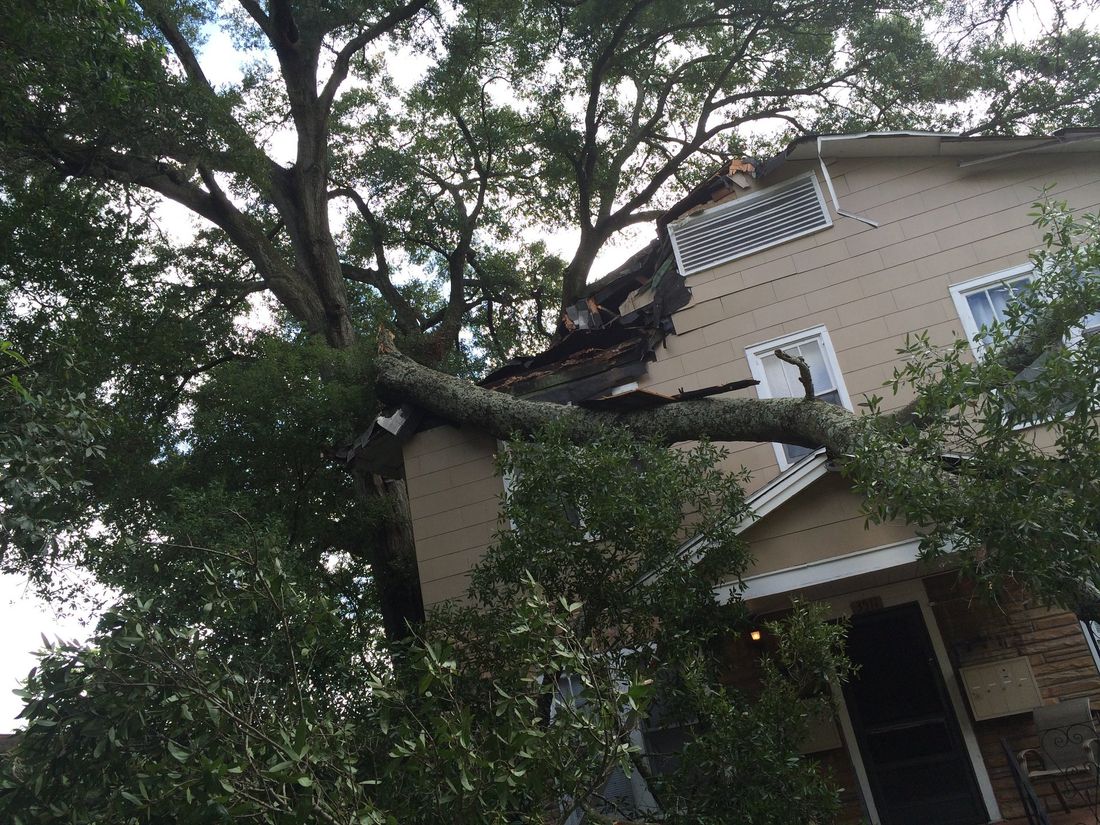 A large tree has fallen on top of a house.
