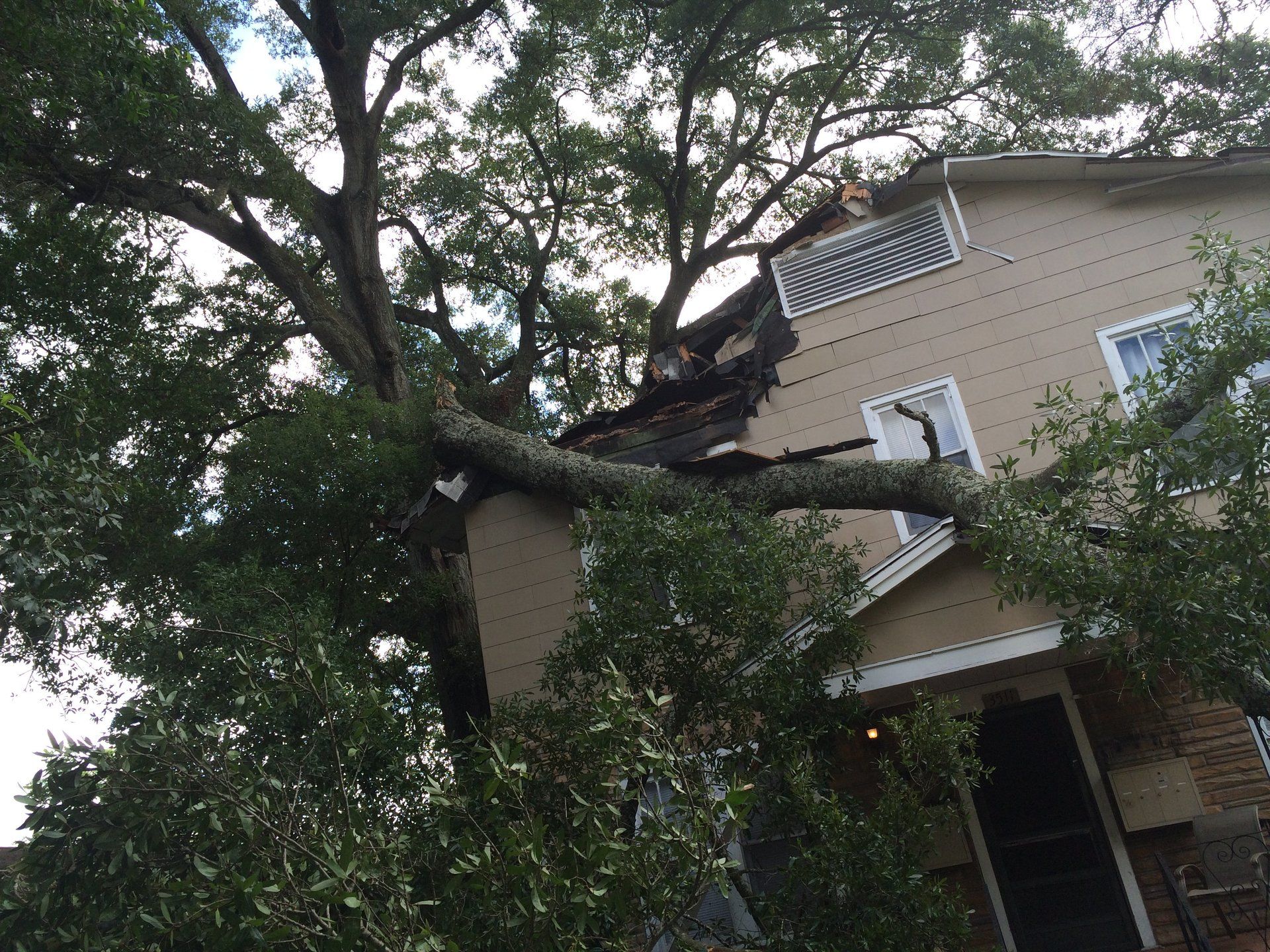 A large tree has fallen on top of a house.