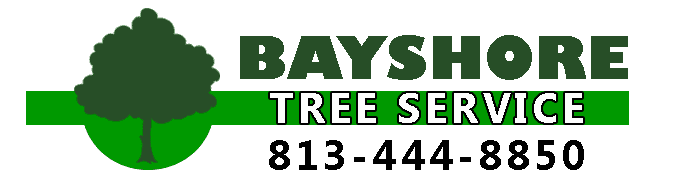 A logo for bayshore tree service with a tree on it