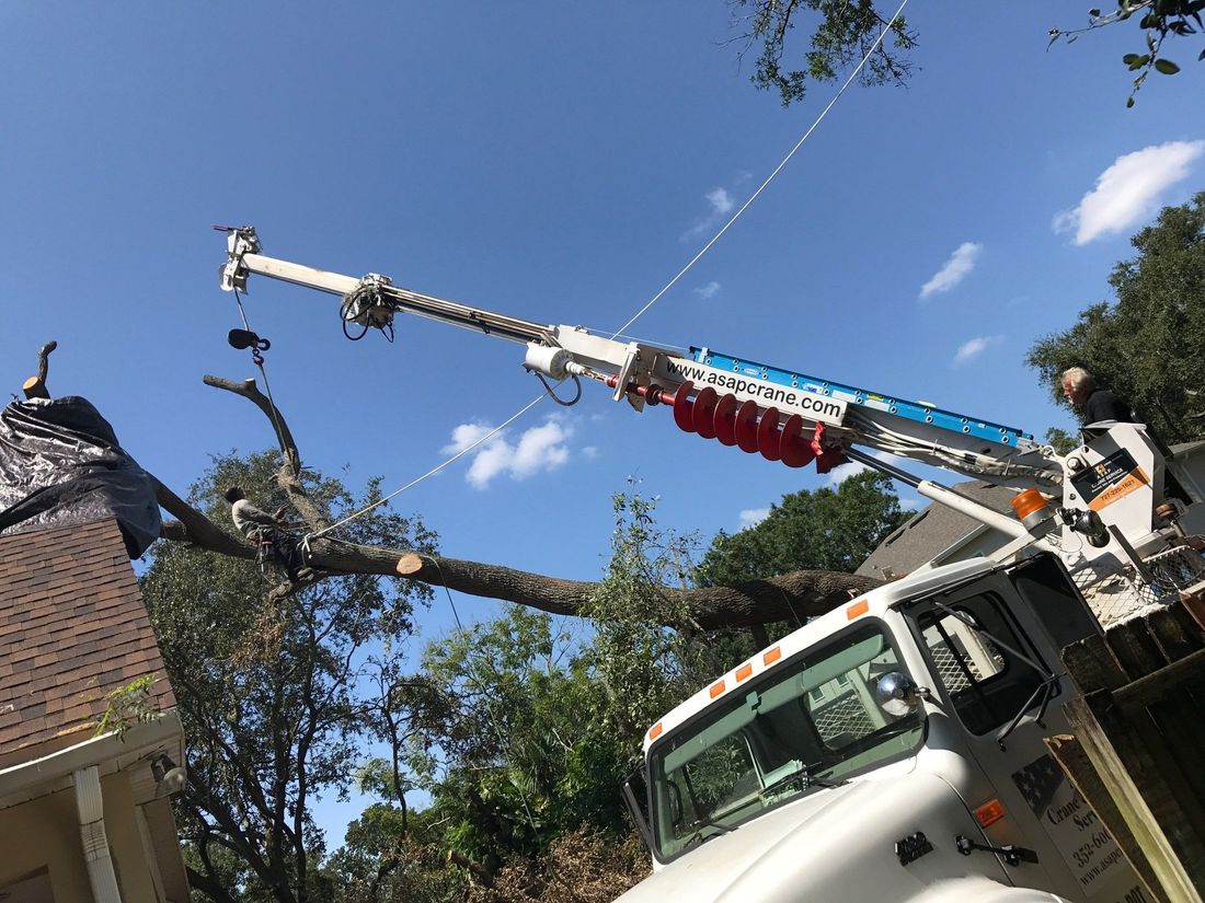 A crane is cutting a tree in front of a house.