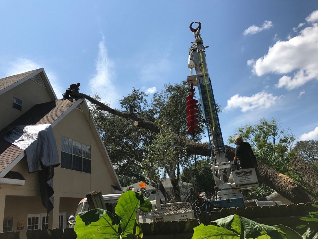 A crane is cutting a tree in front of a house.