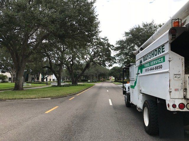 A white bayshore tree service truck is parked on the side of the road