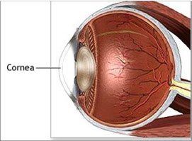 Best cornea surgery bagnalore