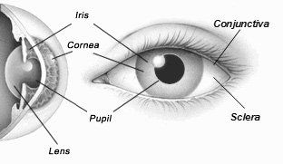 Best cornea surgery bangalore