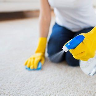 Home carpet cleaning