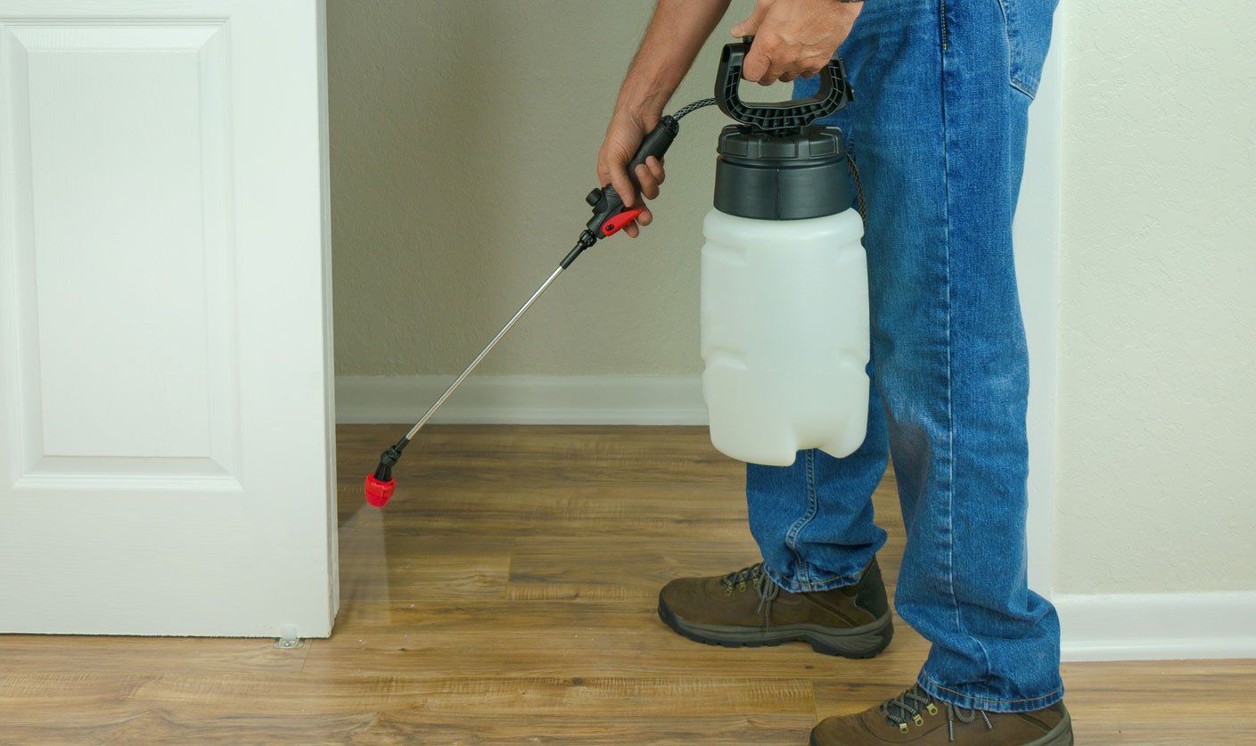Professional pest control