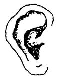 Caffrey and Associates Audiology