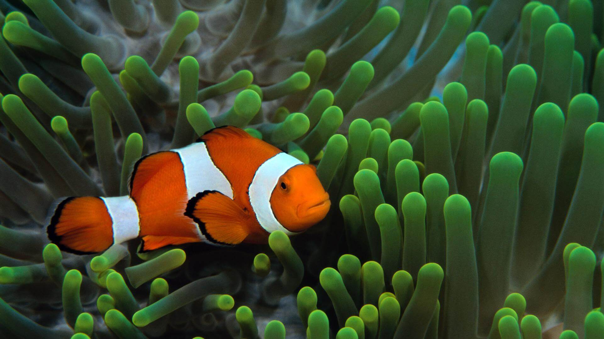 Weymouth SEALIFE centre