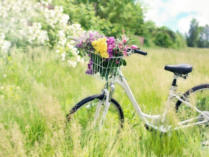 Ein weißes Fahrrad mit einem Blumenkorb im Gras.