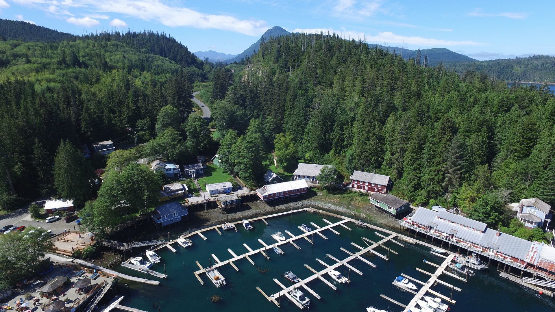 Aerial view of a marina with boats, forested shoreline, and mountains under a clear blue sky