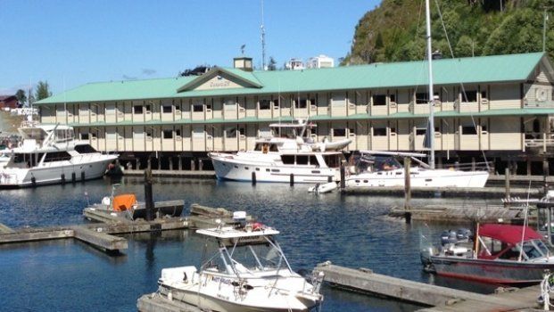 Marina with white yachts docked beside a long waterfront building with a green roof under a clear blue sky