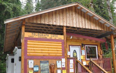 Wooden Telegraph Cove building with log siding, red porch railings, and forest backdrop