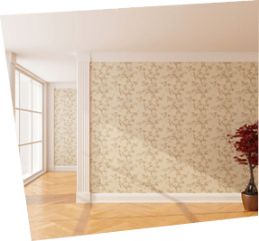 Home painting and decoration