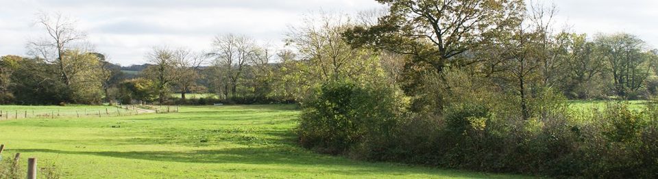 east sussex countryside