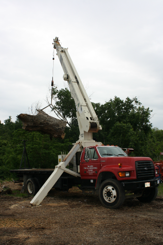 Landscaping services in Cincinnati, OH