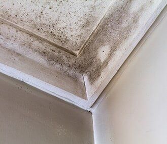 Stains On The Roof — Mold & Mildew Services in South Portland, ME Stains On The Roof — Mold & Mildew Services in South Portland, ME