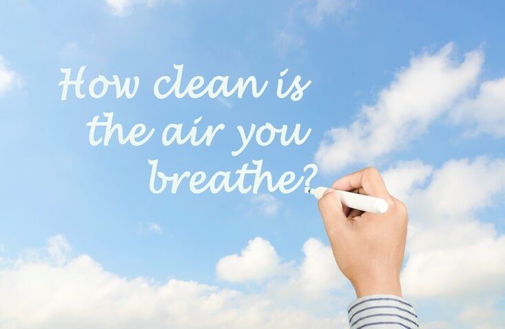 Mold And Moisture — Mold & Mildew Services in South Portland, ME Mold And Moisture — Mold & Mildew Services in South Portland, ME
