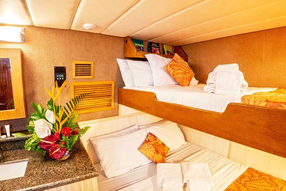 Bunk beds in a cabin; lower bed is made, top bunk has pillows and towels, sink and flowers at left.