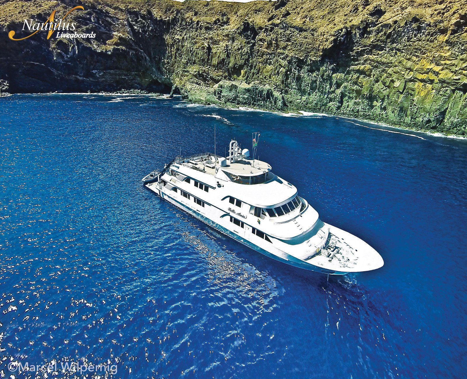 A large white yacht sails on blue water near a dark, tree-covered shoreline.