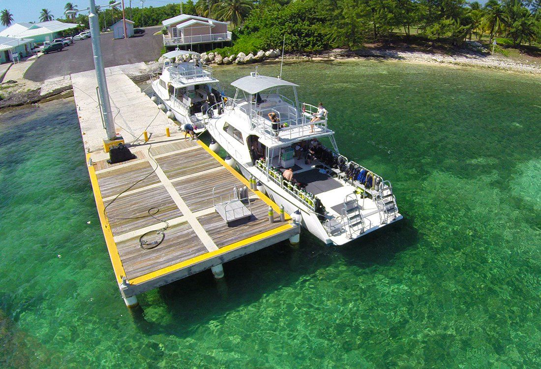 Boats docked at a pier in clear turquoise water. Sunlight reflects on the surface; buildings in the background.