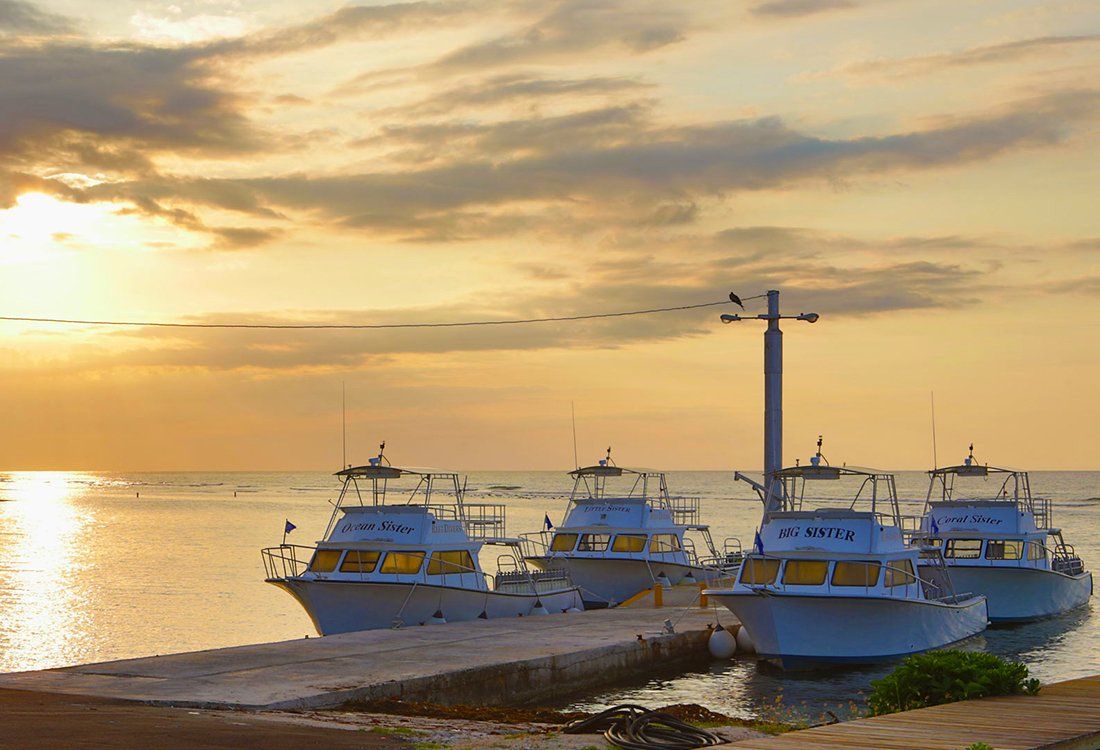 Boats docked at a pier during a sunset, golden light reflecting on the water and sky.