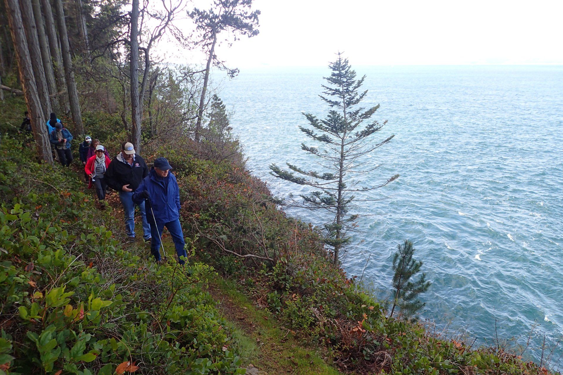 People hiking on a coastal trail next to the ocean.