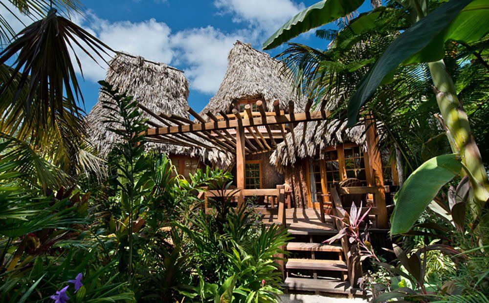 Tropical wooden hut with thatched roof, surrounded by lush green foliage and blue sky.