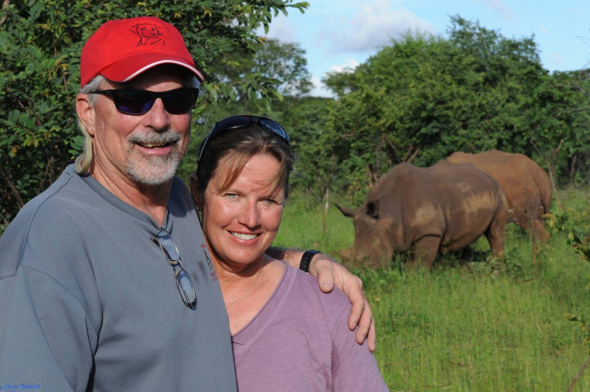 Couple poses with two rhinos grazing in a grassy field; sunny day.