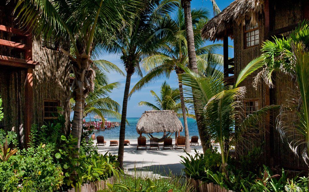 Tropical beach scene with palm trees, thatched-roof buildings, and chairs facing the ocean.