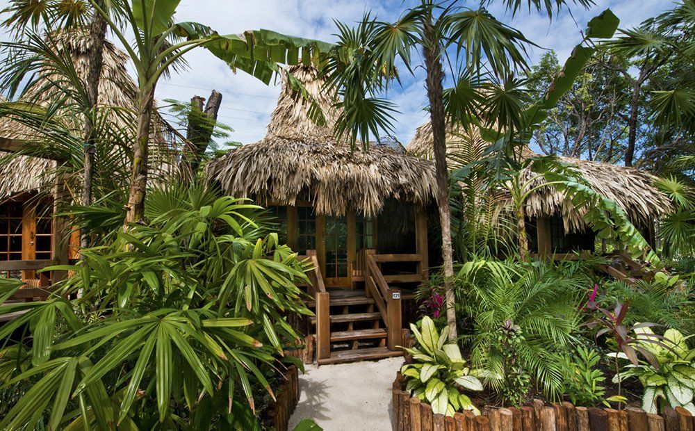 Tropical bungalows with thatched roofs and lush greenery.