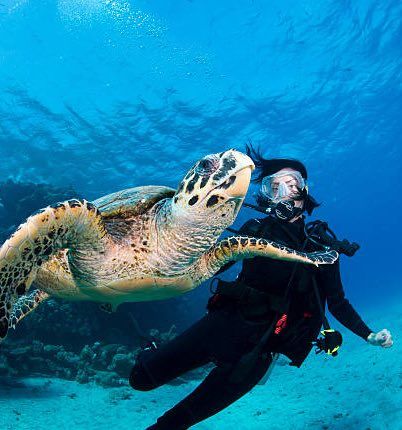 Scuba diver in black suit swims near a sea turtle underwater; blue ocean backdrop.