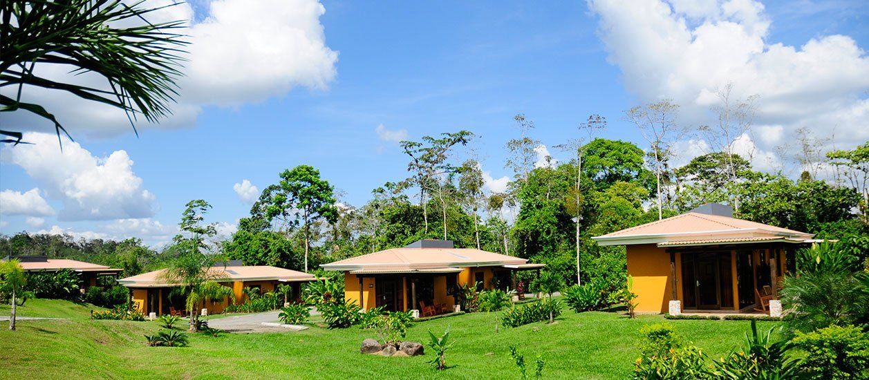 Yellow cabins with brown roofs on a grassy hillside under a blue sky with fluffy white clouds.