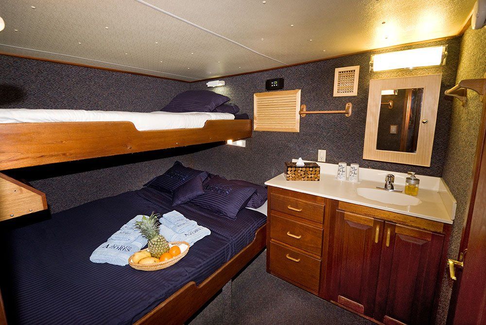 Cabin with bunk beds, vanity, and toilet. Dark blue bedding and textured walls.
