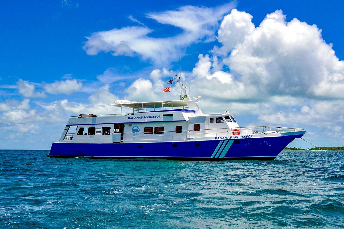 Blue and white boat on the ocean under a partly cloudy sky.