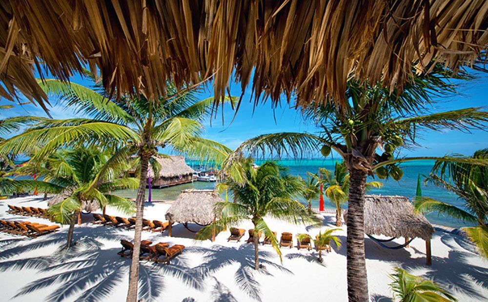 Tropical beach scene with palm trees, thatched roofs, white sand, and turquoise water.