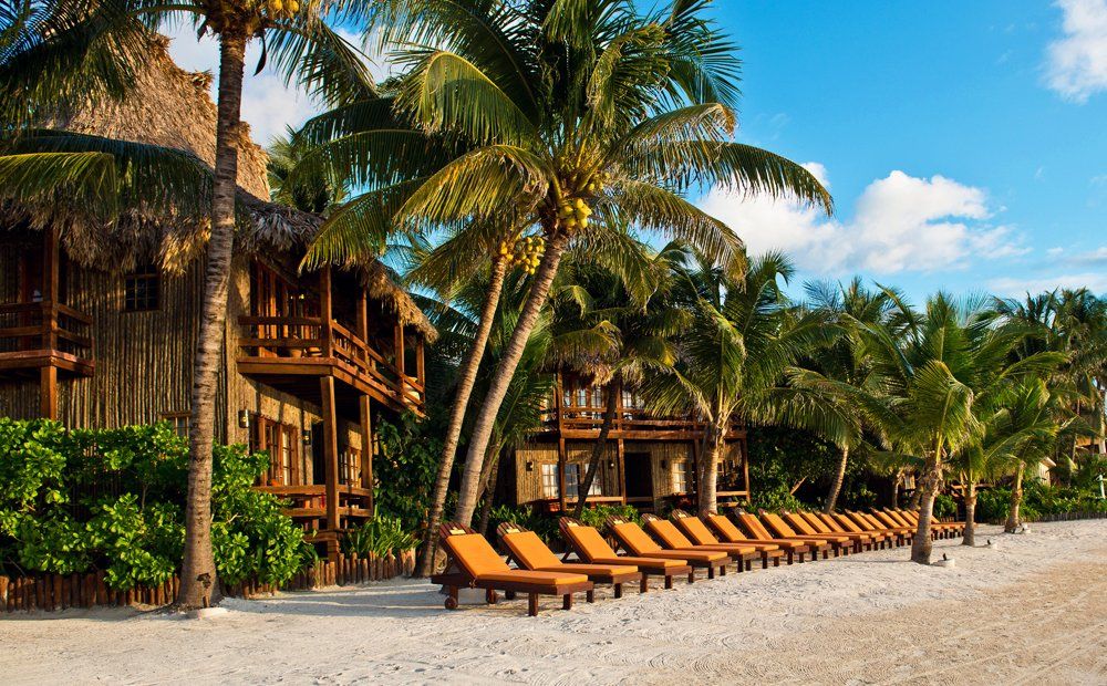 Beachfront resort with palm trees, lounge chairs, and wooden buildings with thatched roofs.