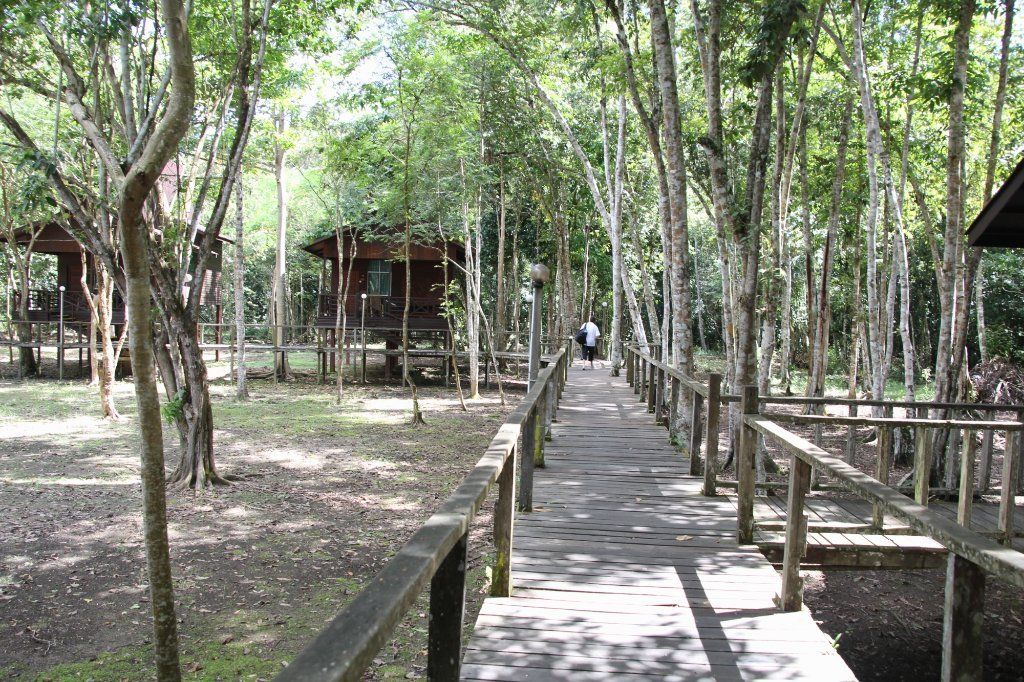 Wooden walkway through a wooded area with cabins on either side. A person walks on the path.
