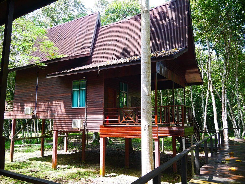 Wooden house on stilts with a dark brown roof and porch in a wooded area.