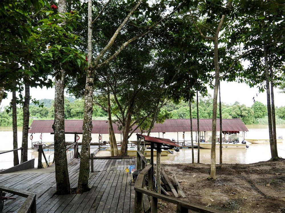 Wooden walkway leading to a dock structure over a brown river, surrounded by trees.