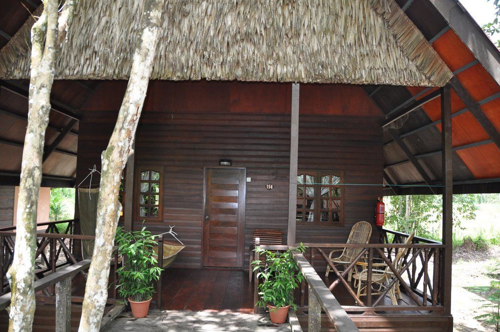 Wooden cabin with thatched roof and porch, surrounded by trees.