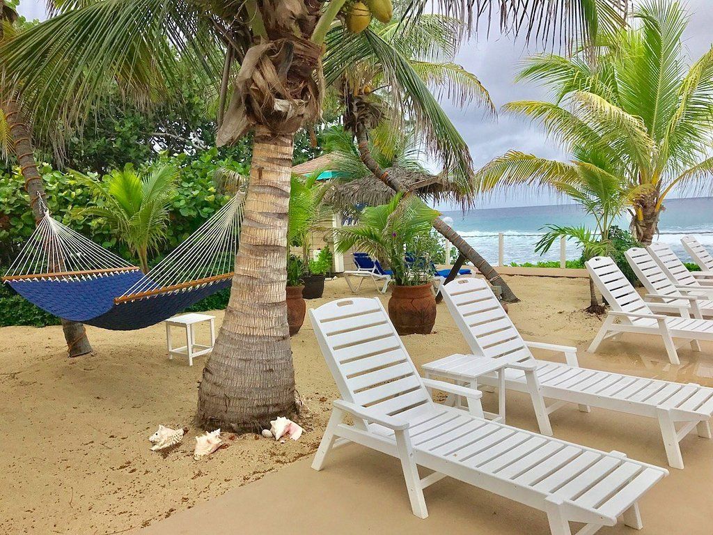 Beach scene with white lounge chairs, hammock under palm trees, and ocean in the background.